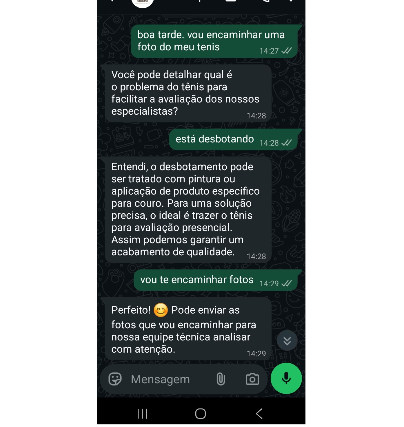 Exemplo de Conversa IA 2